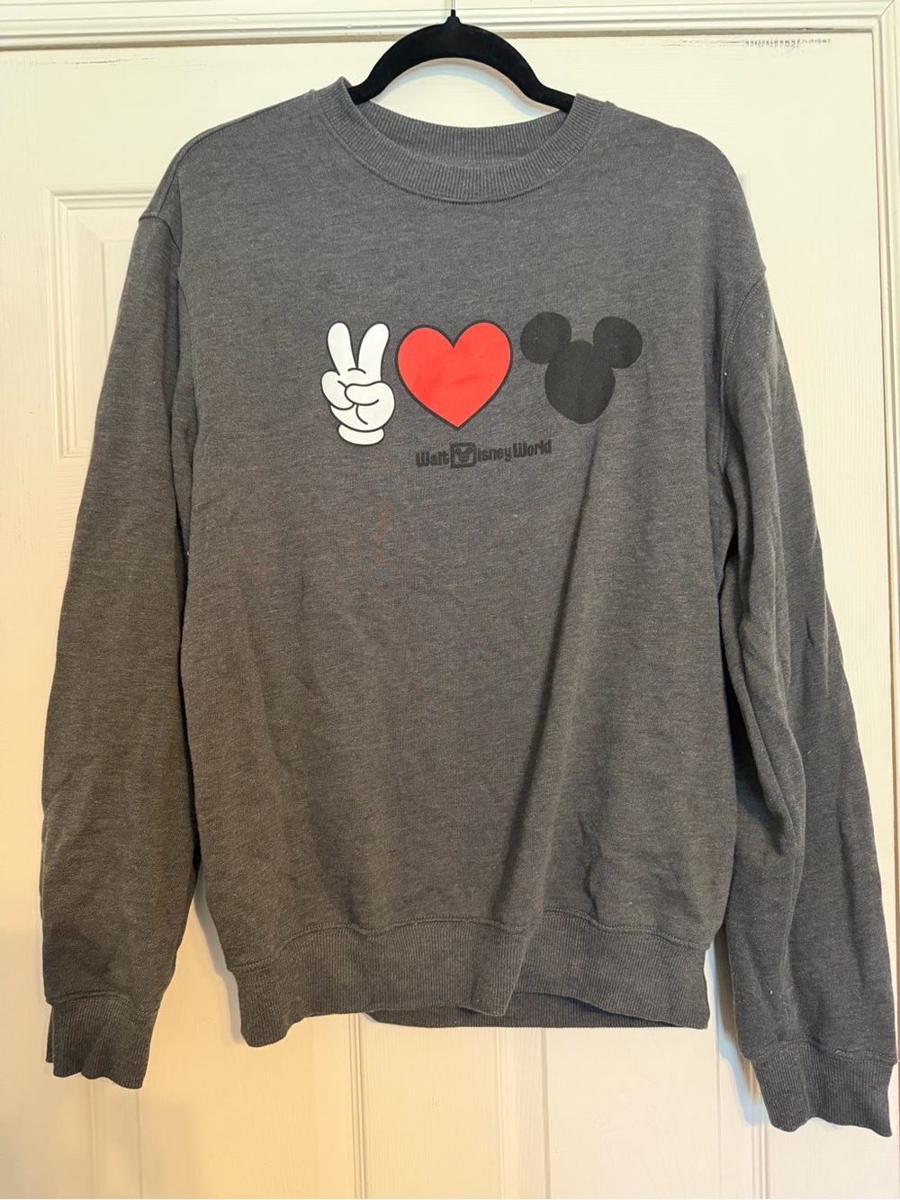 Walt Disney World Sweatshirt